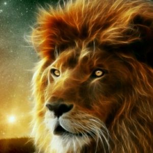 Meet your Posher, Sherilyn